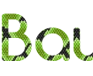 Online beautiful text on the background of snake skin - Font Comfortaa