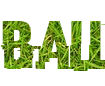 Beautiful fonts with different backgrounds png
