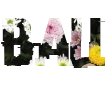 Beautiful fonts with different backgrounds png
