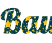 Create a log in the inscription background of a star drawer - Font Lobster png format