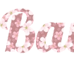Create a beautiful text with a background of sakura flowers - png Font Lobster