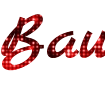 Create unique inscriptions with glitter in the online designer