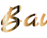 Create an impressive lettering online with bamboo background