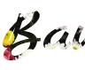 Use Font and Beautiful PNG Background for a Unique Look