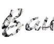 Unique lettering with crack effect on the background