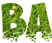Font with a beautiful png background