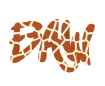 Beautiful graffiti font street soul